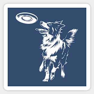 Border Collie Frisbee / Disc Sticker